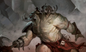 Two Headed Giant MTG @ Your Friendly Local Game Store (Jul 31) - Ticket